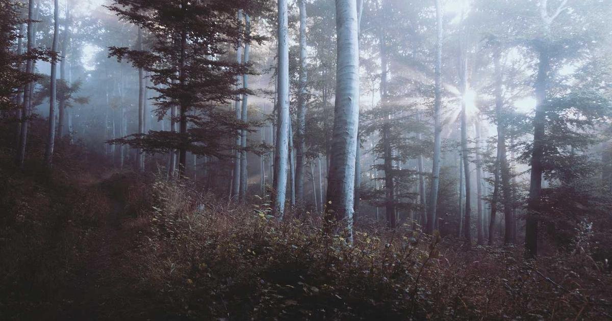 XRP: إشارة مؤشر RSI لانتعاش وشيك