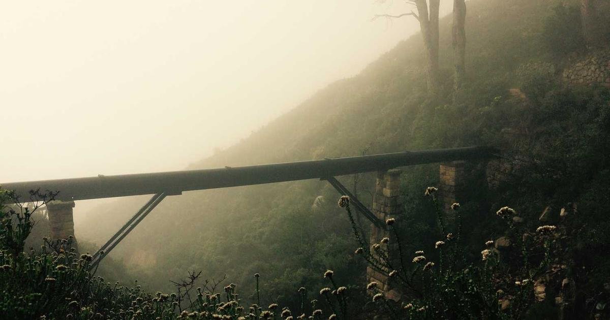 نجاح باهر لرمز Midnight (NIGHT) يتجاوز التوقعات فور إطلاقه