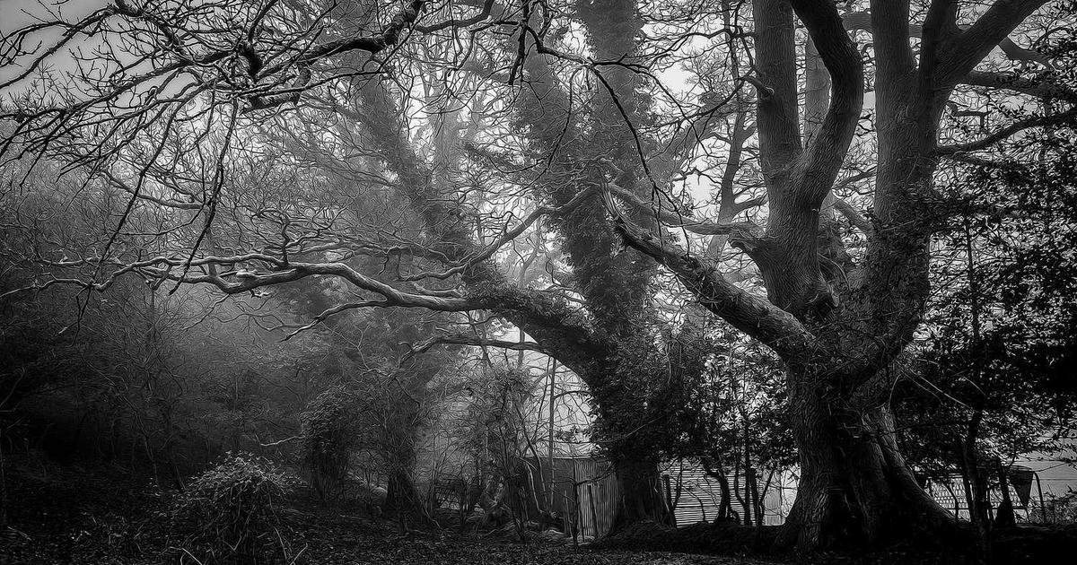 العملة الرقمية XRP: هل تستعد لتحليق تاريخي؟ نظرة على تحول تريليونات الدولارات