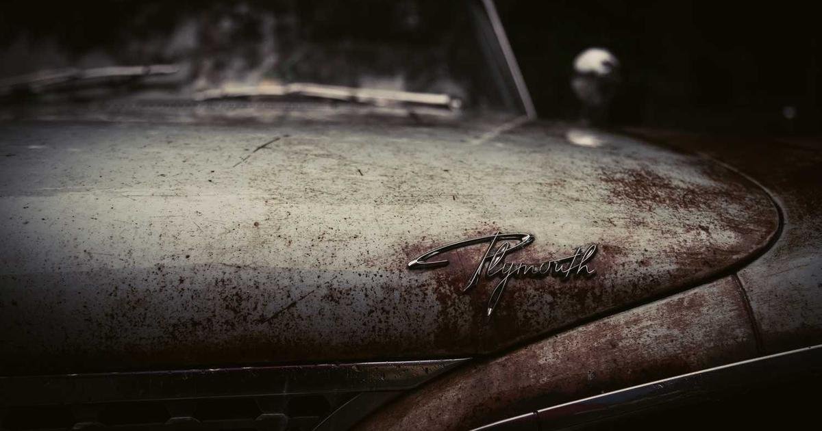 XRP نحو مستقبل متعدد السلاسل: طموحات الريبل وتوقعات الأسعار