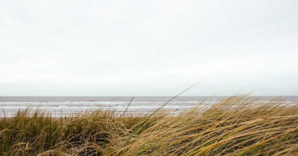 آفاق XRP الواعدة: DTCC و”X Money” ترسمان المستقبل