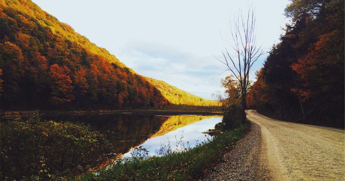 صناديق XRP المتداولة: ملاذ المستثمرين بمليارات الدولارات وسط تراجعات السوق