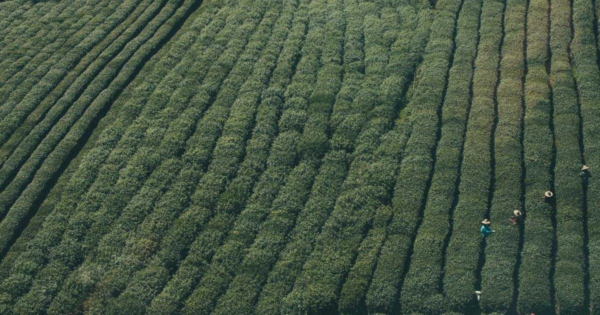 إشارة نادرة لـ XRP: هل يقترب الانهيار من نهايته؟