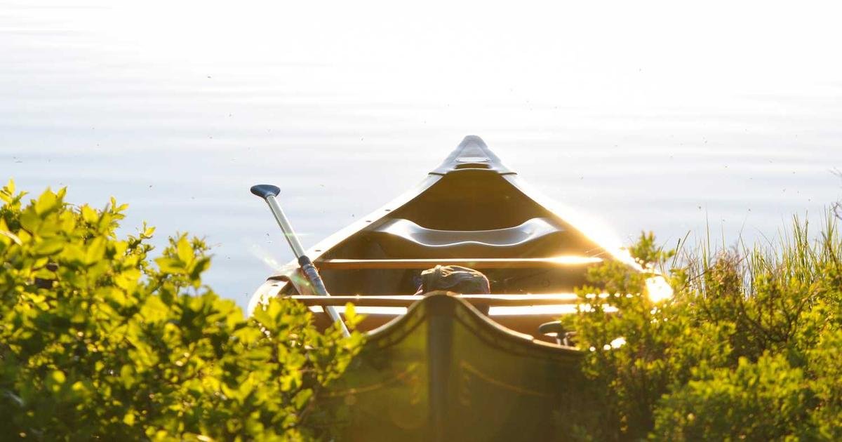 XRP و10 دولارات: رؤية خبير مالي تتحدى التوقعات