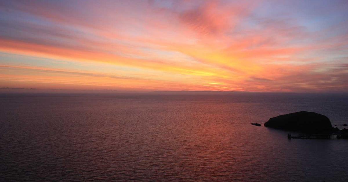 شيبا إينو: صمود في السوق ومعدل حرق يتراجع 90%