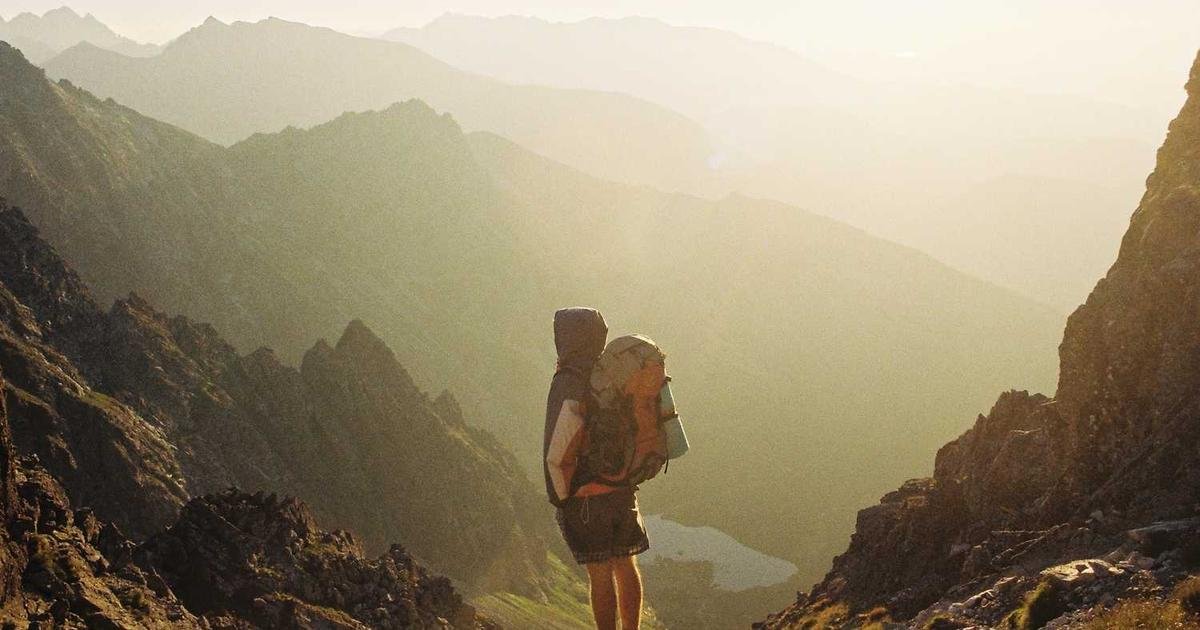 شيبا إينو: هل ينهض الدب من سباته؟