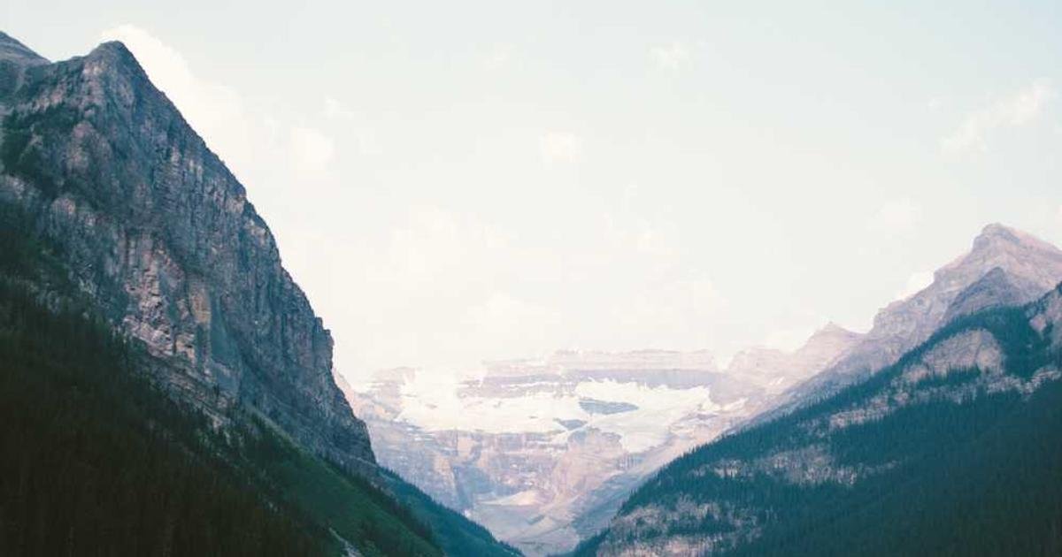 2025: عام التوسع الكبير لـ Ripple وXRP رغم تقلبات السوق