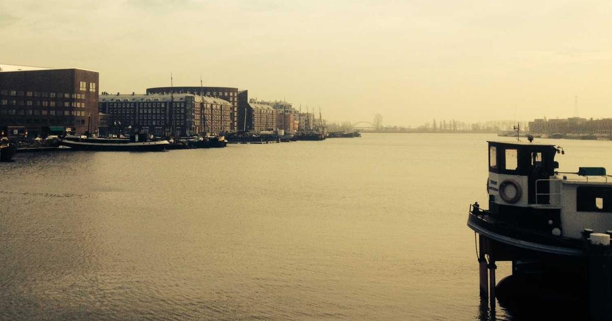 توقعات هوسكينسون: 2026 عام الإنجازات لـ Cardano و Midnight