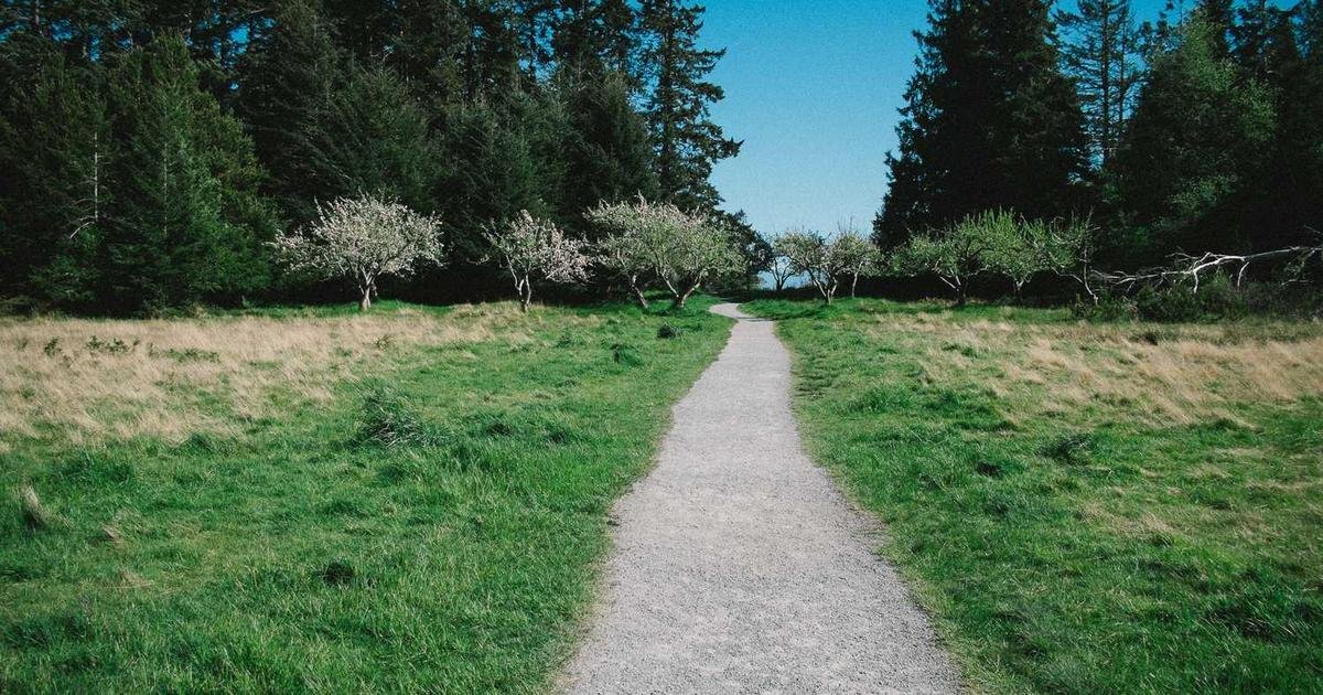 ارتفاع وشيك لـ Dogecoin؟ تحليل شامل لآفاق العملة المشفرة