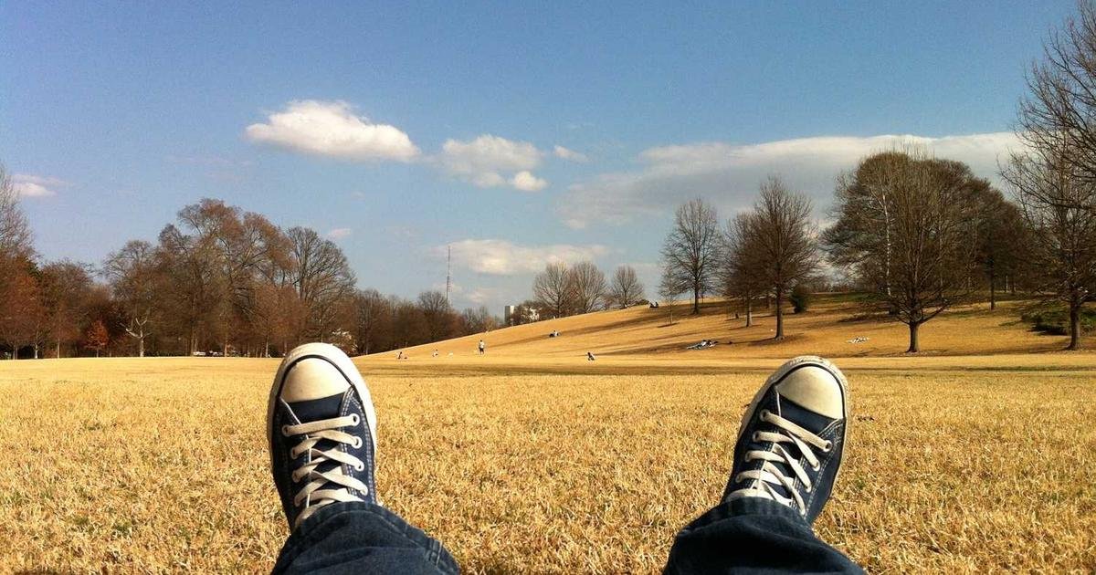 شيبا إينو: تراجع المعروض في المنصات.. مؤشر إيجابي؟