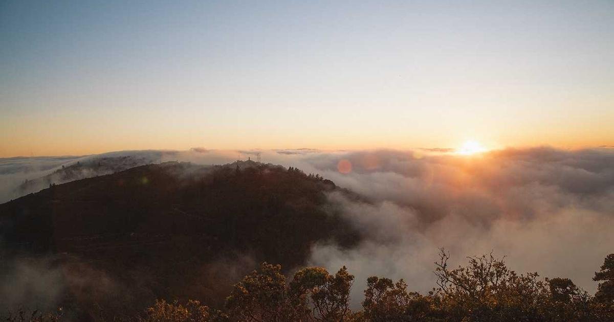 XRP: دفاع قوي وارتفاع محتمل نحو قمم غير مسبوقة بحلول 2026