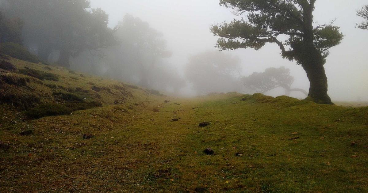 American Bitcoin Corp: صعود صاروخي بين عمالقة البيتكوين