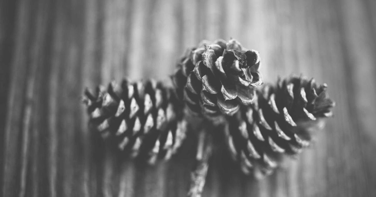 كاردانو: قفزة تاريخية للعملات المستقرة تعزز آفاق التمويل اللامركزي