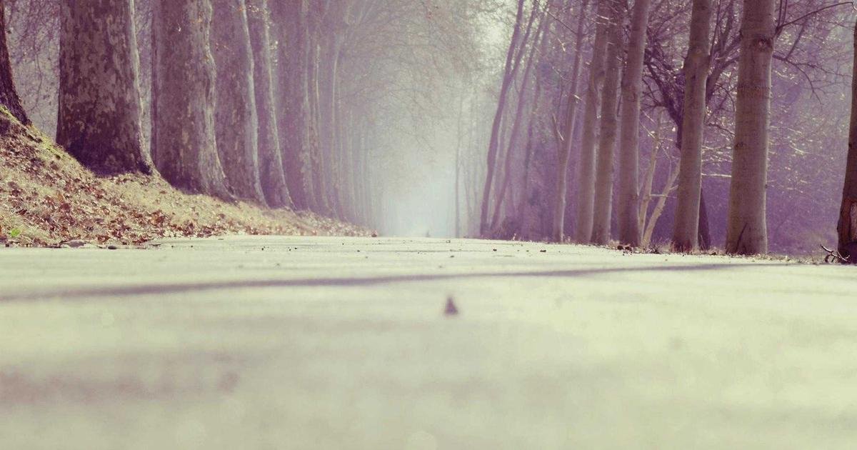 رحلة XRP: من المضاربة إلى البنية التحتية العالمية – رؤية خبير وول ستريت