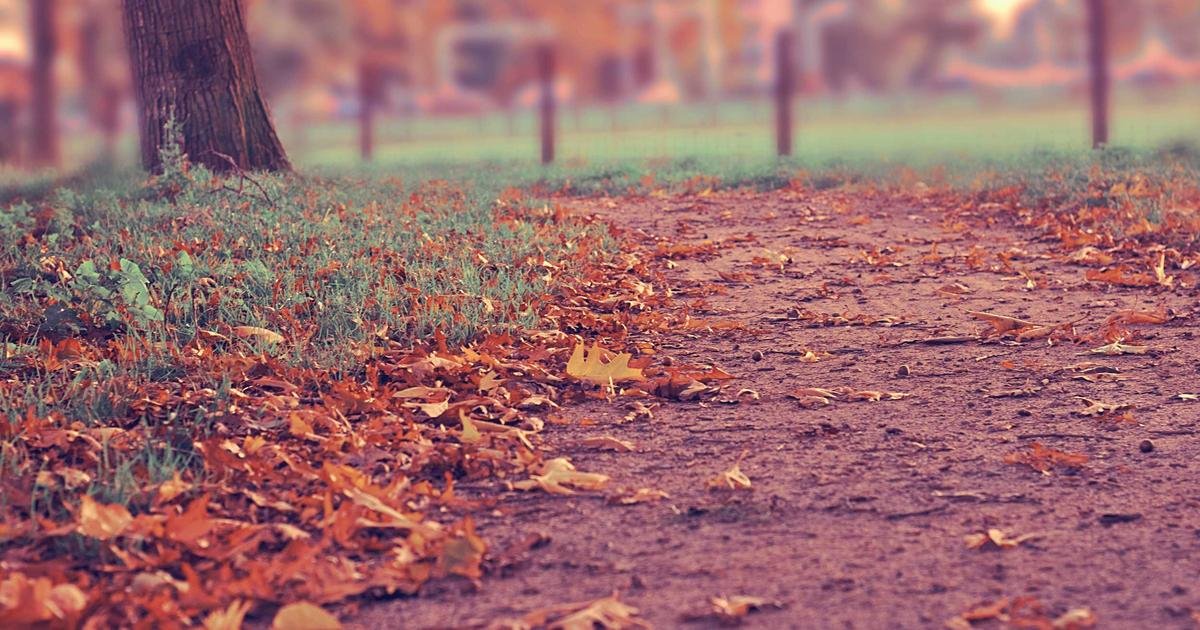 ماستركارد تحتضن ريبل: قفزة نوعية في عالم المدفوعات الرقمية