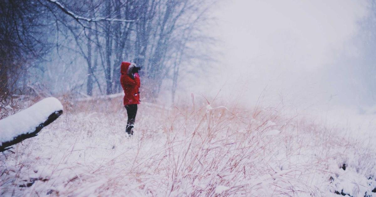 البتكوين يعزز المحافظ التقليدية: دراسة Bitwise تكشف