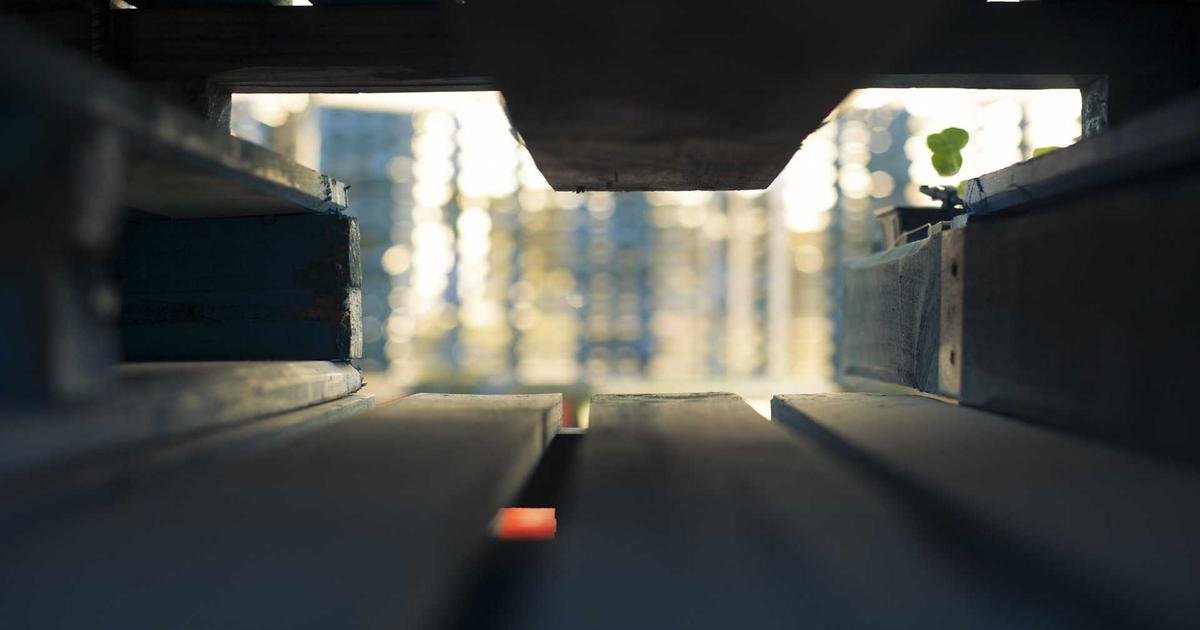 نمط تاريخي يلوح في أفق XRP: هل يعود الارتفاع الصاروخي؟