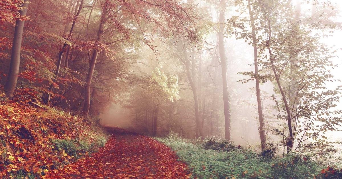 XRP: تقاطع ذهبي وقاع قناة صاعدة ينذران بانفجار وشيك