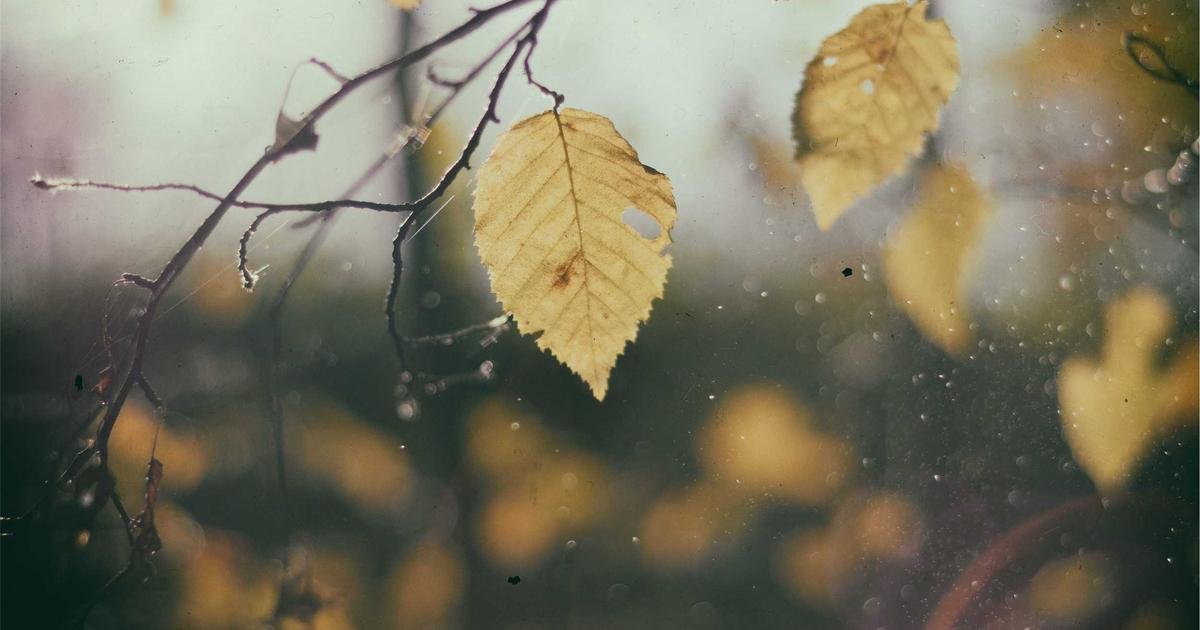 خبير: لا تركزوا على سعر XRP الآن، بل على المستقبل!