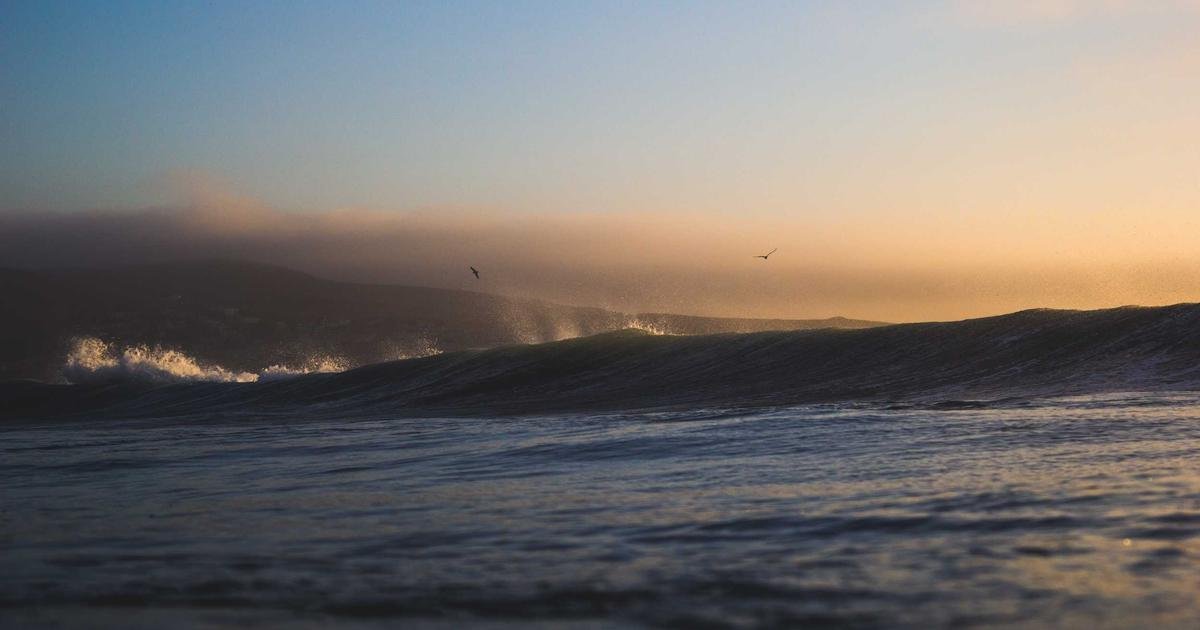 الكريبتو: احتيال بحري، تحذيرات تنظيمية، واستثمار مؤسسي ضخم