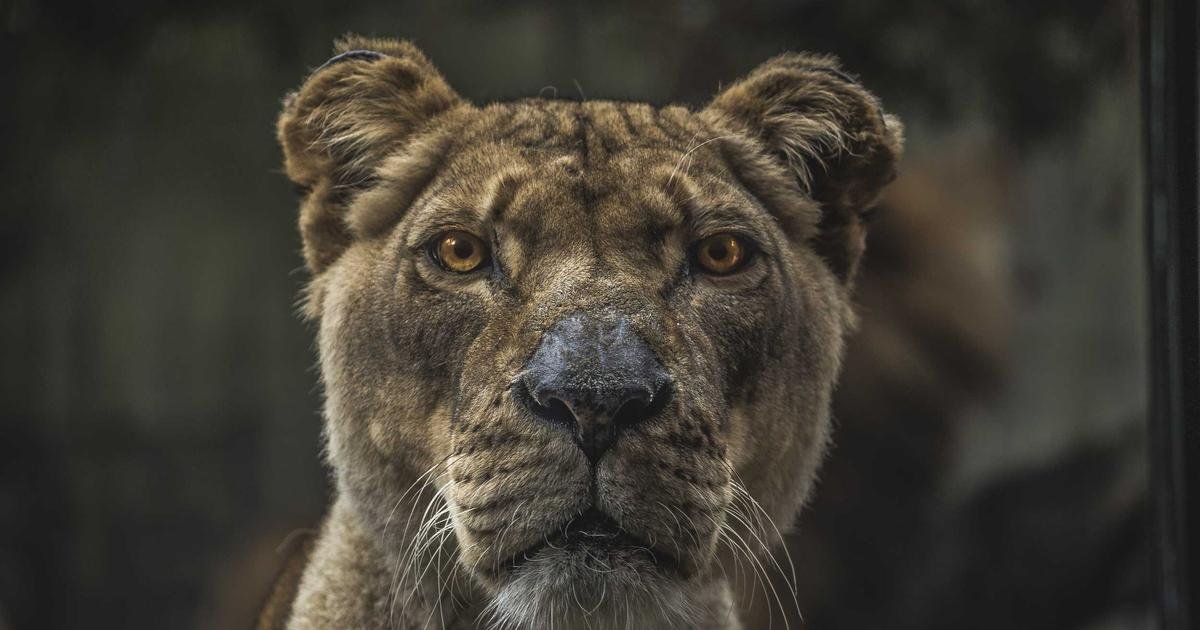 سوق الكريبتو الهابط: محك المصداقية لمنتقدي العملات المشفرة