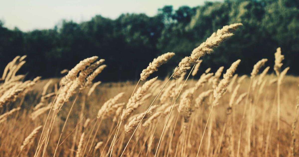 كاردانو: قاع جديد يفتح أبواب الأرباح الهائلة